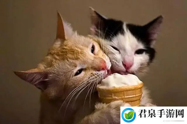 猫咪尝不出什么味道-支付宝蚂蚁庄园7月30日每日一题最新答案分享