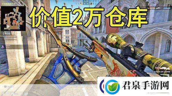 日本CSGO大姐姐AWP价格是多少