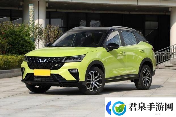 “国产最美SUV