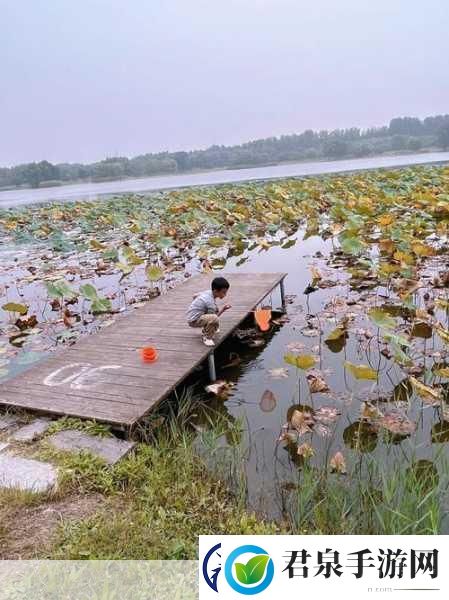 揭秘99无人区码一码二码三1080p不再是梦