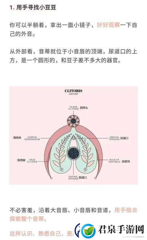 怎么让小豆豆变大的方法