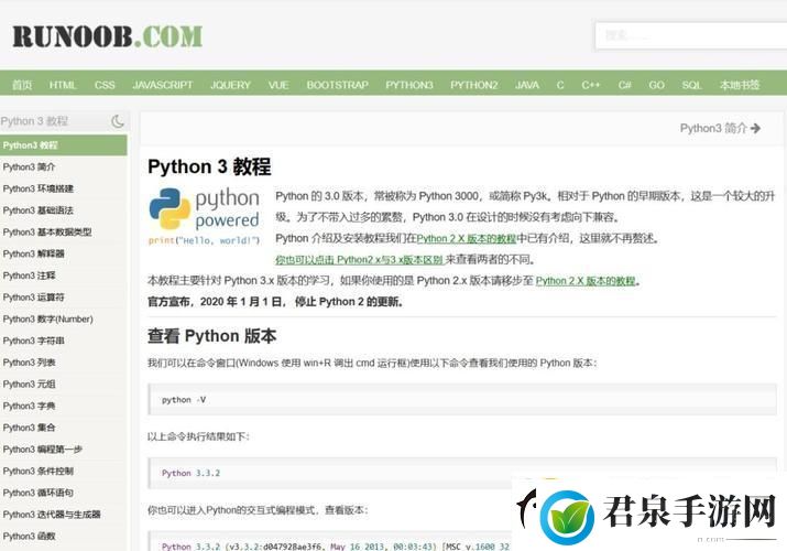 PytHon100魅影