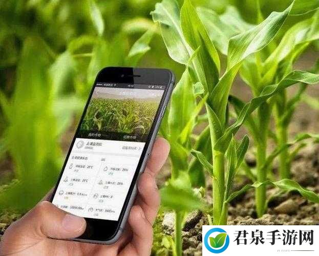 成都香蕉草莓科技：探索科技未来