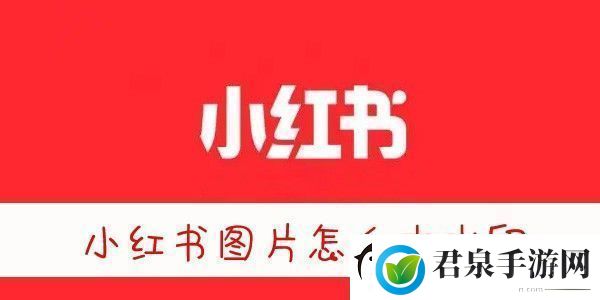 小红书图片无水印保存方法小红书图片怎么去水印保存