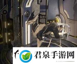 Warframe库娃与星际战甲的猫