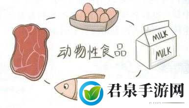 人与畜禽共性关系的重要性：保障食品安全与公共卫生