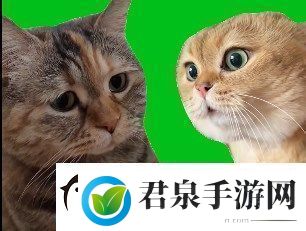 猫猫对话是什么梗络用语