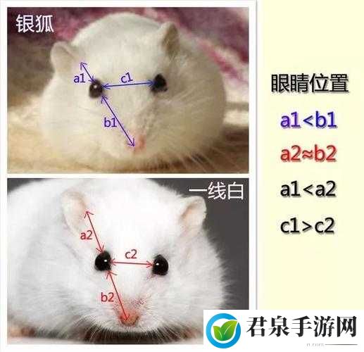 日本一线和三线的区别是什么：