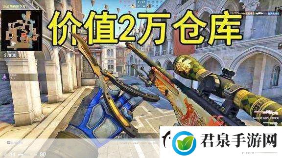 日本CSGO大姐姐AWP价格是多少