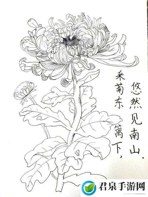 答错一题菊花放一支笔温客行：独特的惩罚设定