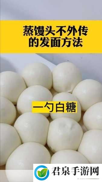 馒头的秘密：1. 《馒头的秘密：传统与创新的美味交汇