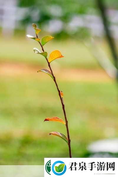 球球大作战春芽孢子皮肤