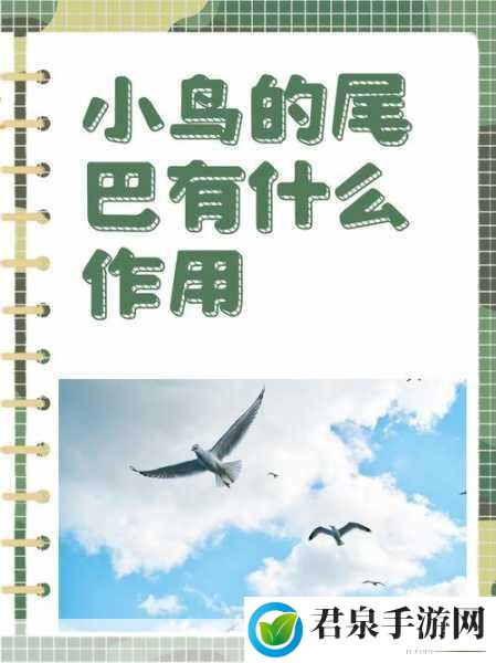 变大变粗的方法：1. 通过变化与膨胀探索创意的新领域