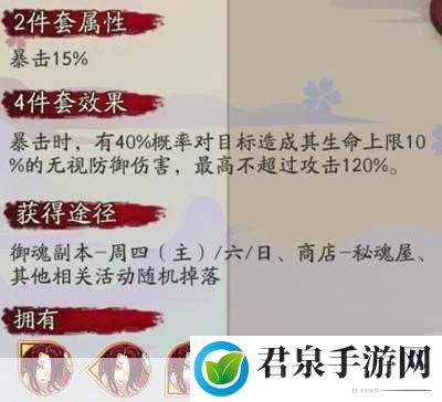 阴阳师手游，针女式神御魂选择速攻攻是否最优解，深度解析与实战攻略