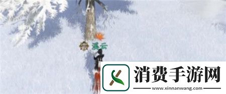 逆水寒手游寒衣覆雪奇遇任务怎么玩