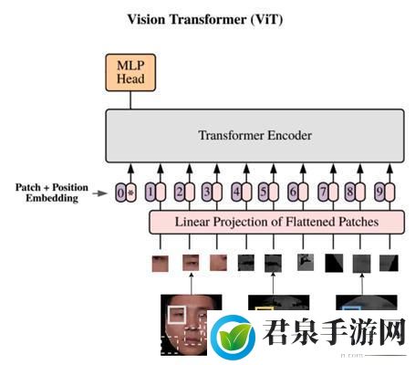 多人高HP系统