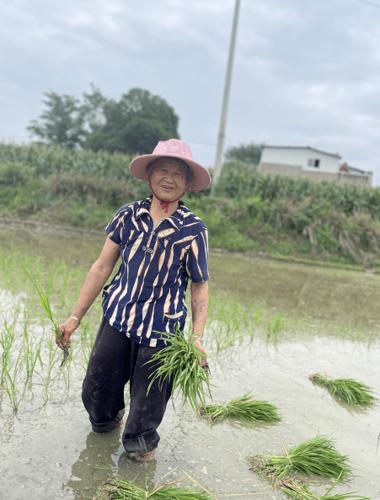 女儿叫父亲耕水田