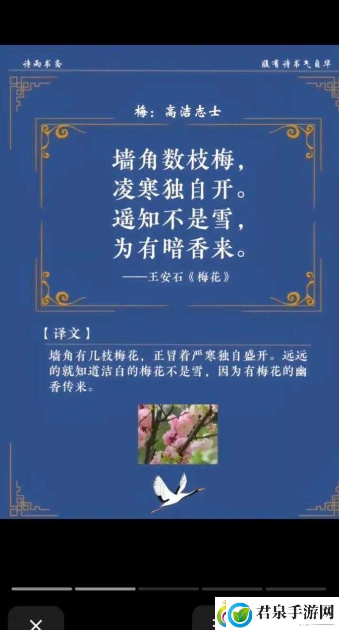 探索花中四君子——梅兰竹菊所蕴含的诗意美感与深刻哲思