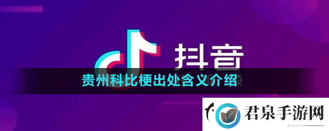 贵州科比什么梗