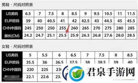 三叶草亚洲尺码和欧洲尺码区别