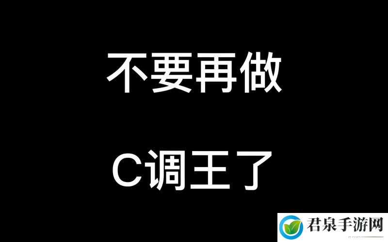 不要再c了