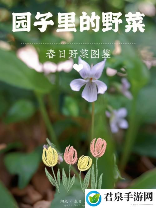 吃小花园的正确方法