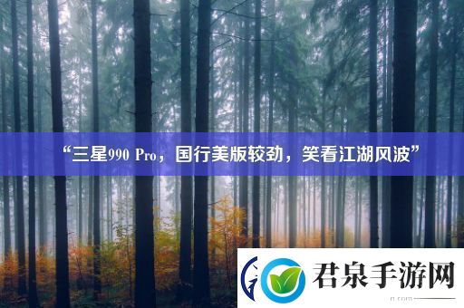 “三星990Pro国行美版较劲笑看江湖风波”