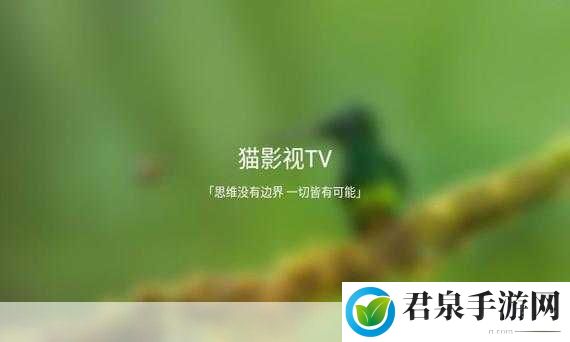 TV喵接口怎么设置，要根据TV喵接口设置并拓展出新的标题，可以参考以下步骤：