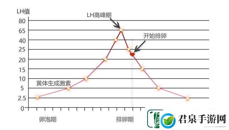 高能粒子碰撞