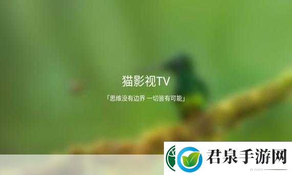 TV喵接口怎么设置要根据TV喵接口设置并拓展出新的标题可以参考以下步骤