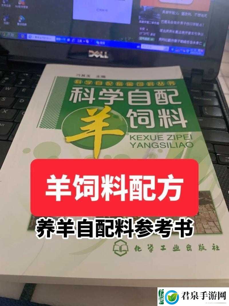 如何科学合理地确定人一般配几只羊的数量