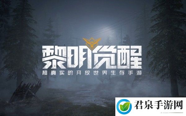 黎明觉醒第五街区宝箱位置攻略-战斗风格选择与流派特点分析