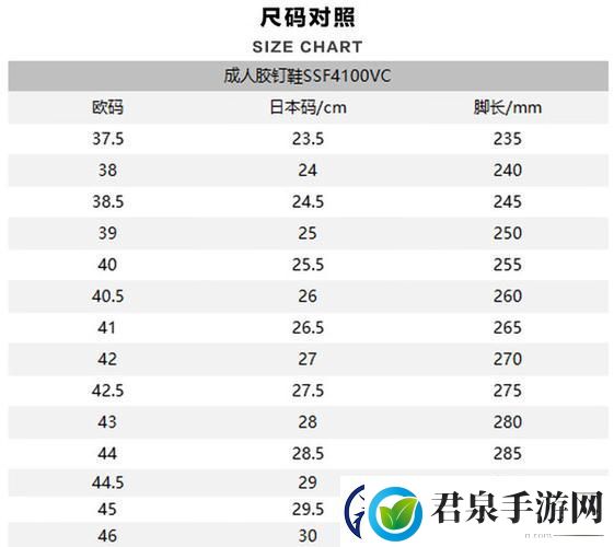 探索欧洲尺码与日本尺码专线不卡顿的背后柯林资讯