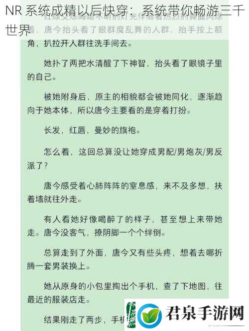 NR系统成精以后快穿