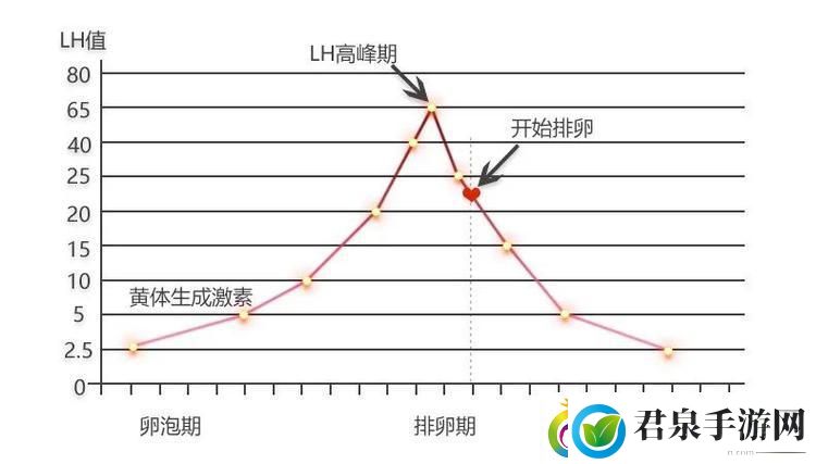 高能粒子碰撞