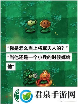 植物大战僵尸杂交版前院告急第10关攻略大全【完整步骤】