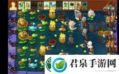 植物大战僵尸杂交版前院告急第6关通关攻略详解【必看】