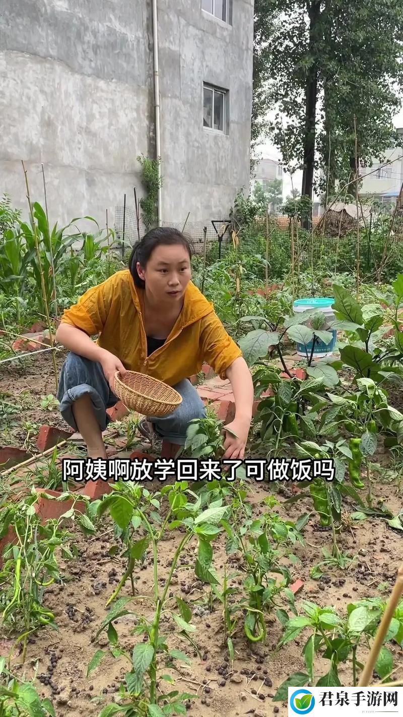 饥饿的阿姨5需要灭火