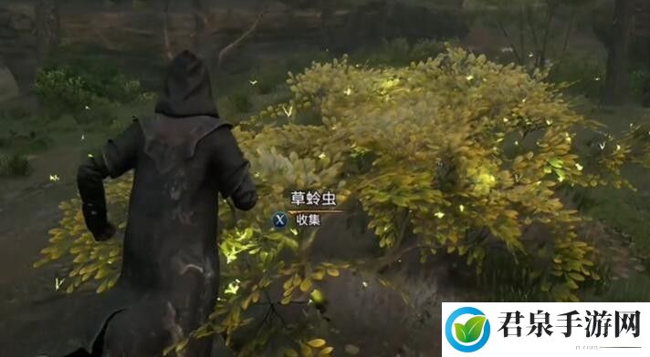 霍格沃茨之遗全植物怎么获得-神秘装备制作分享