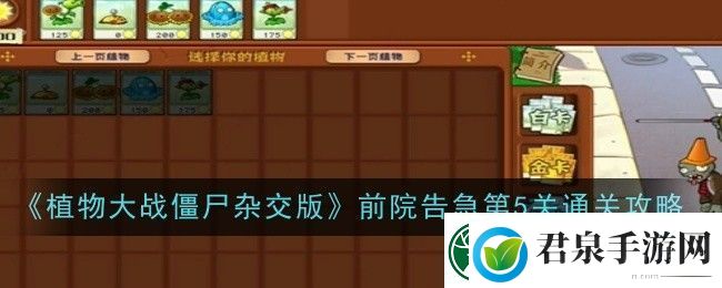 植物大战僵尸杂交版前院告急第5关通关攻略