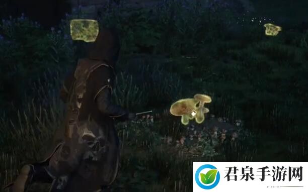 霍格沃茨之遗全植物怎么获得-神秘装备制作分享