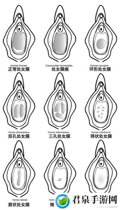 处破女处破全过第一次