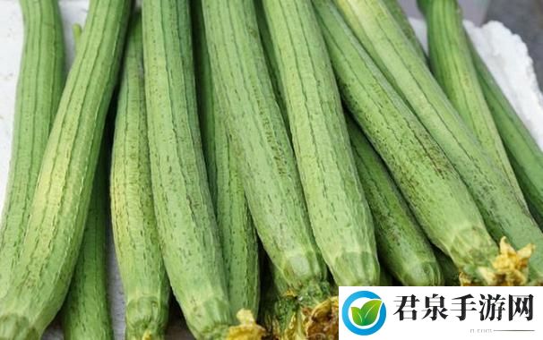 草莓香蕉榴莲丝瓜18岁