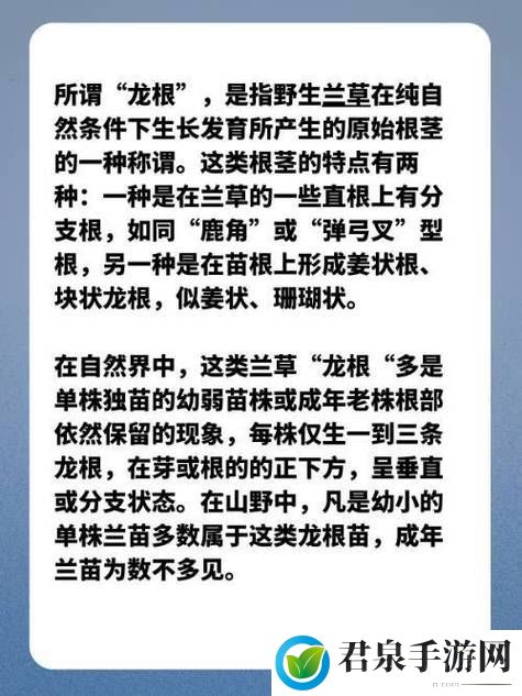 用龙根养大的公主姜宜珠姜封