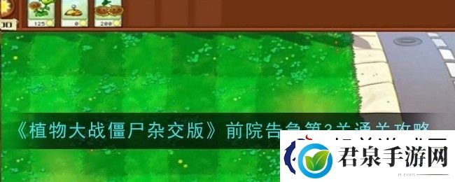 植物大战僵尸杂交版前院告急第3关通关攻略