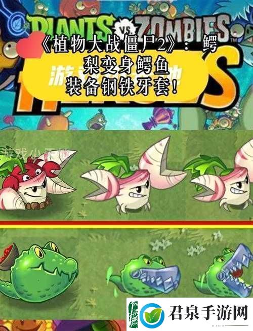 植物大战僵尸2猜灯谜活动